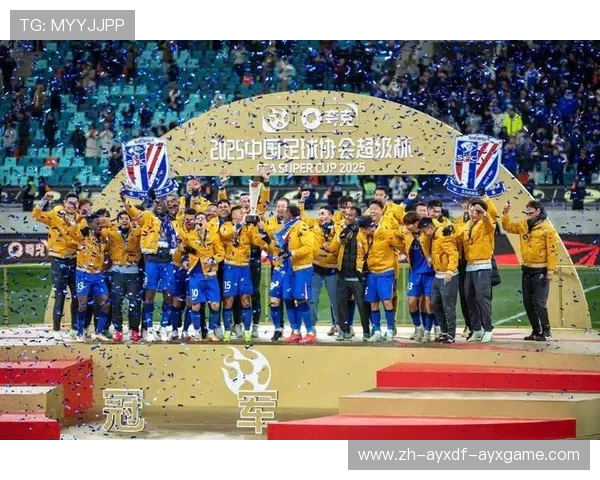 中国足球协会超级杯承办赛区征集工作正式启动